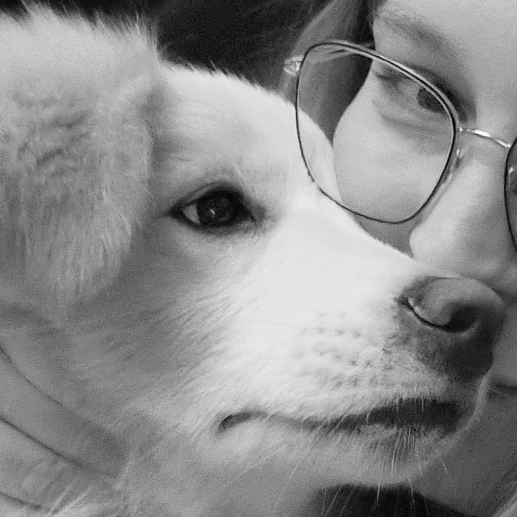 WhatsApp Image 2025-09-18 at 13.10.00_79b02214