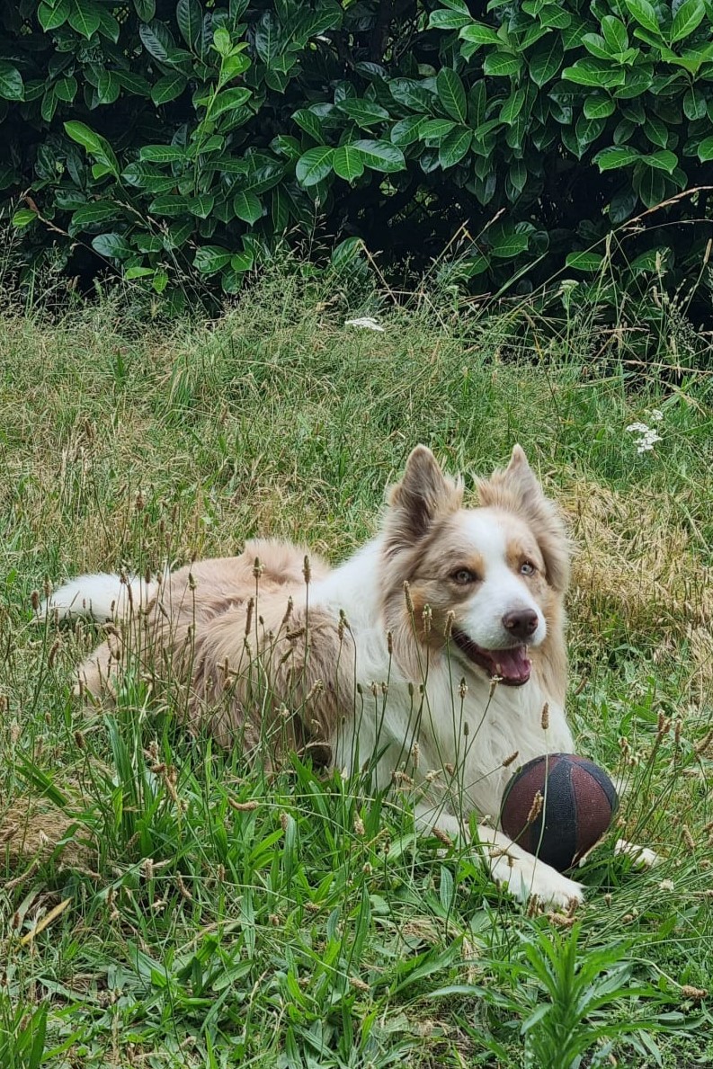 WhatsApp Image 2026-03-25 at 17.06.29