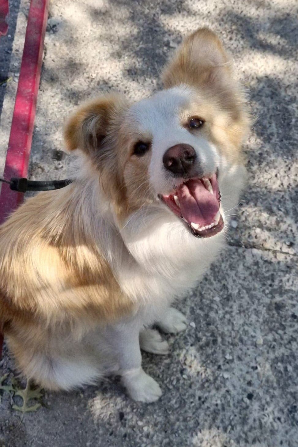 WhatsApp Image 2026-03-25 at 17.08.57