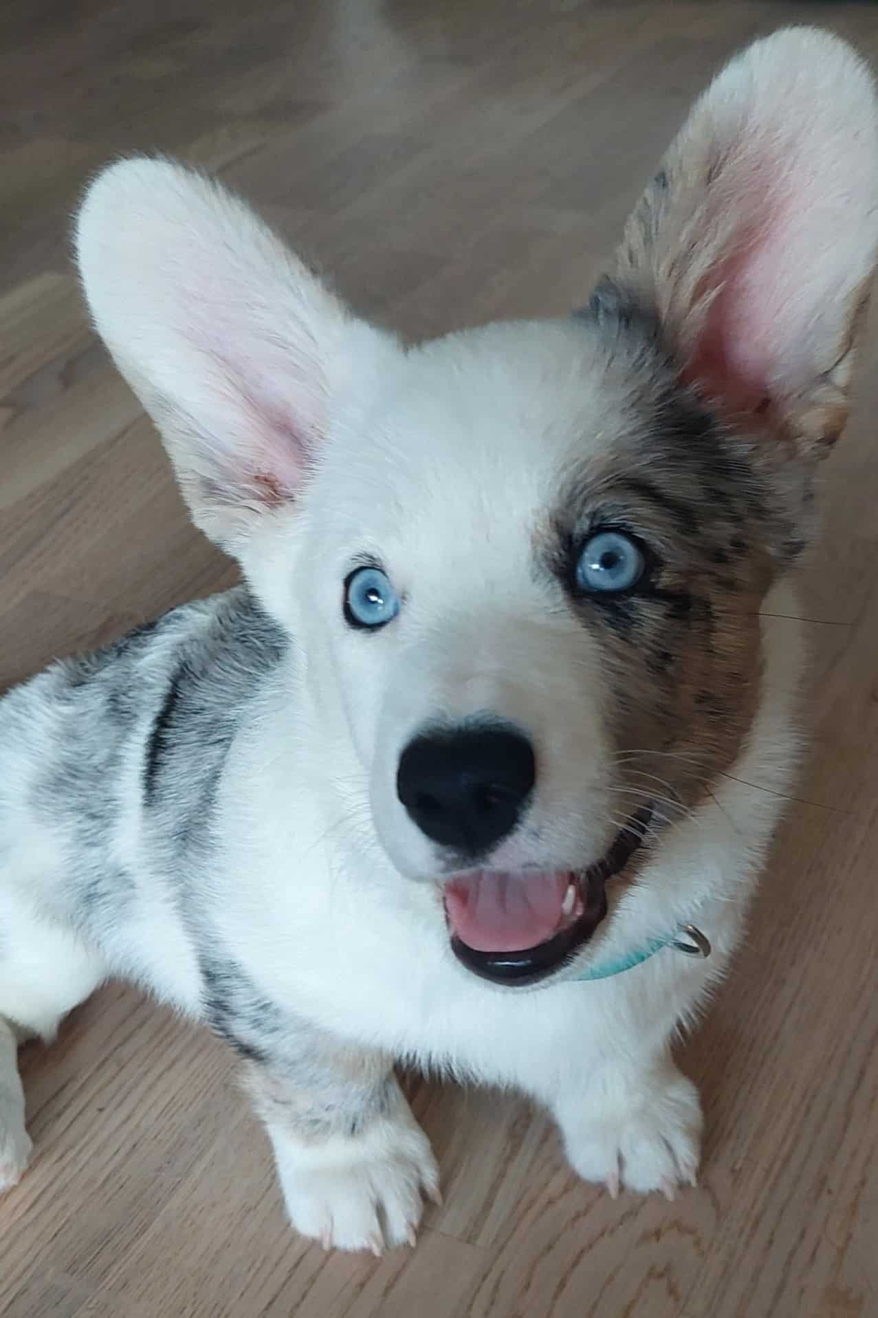 WhatsApp Image 2026-03-25 at 17.13.23