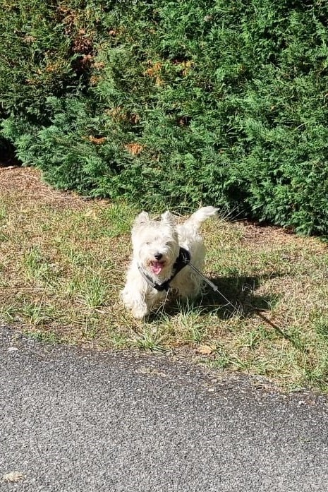 WhatsApp Image 2026-03-25 at 17.17.502