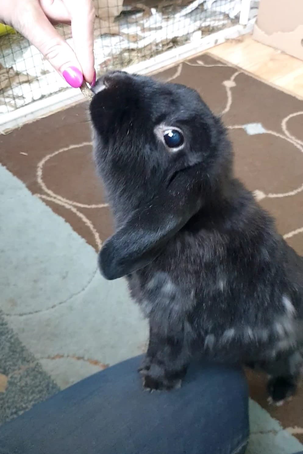 WhatsApp Image 2026-03-25 at 17.34.08