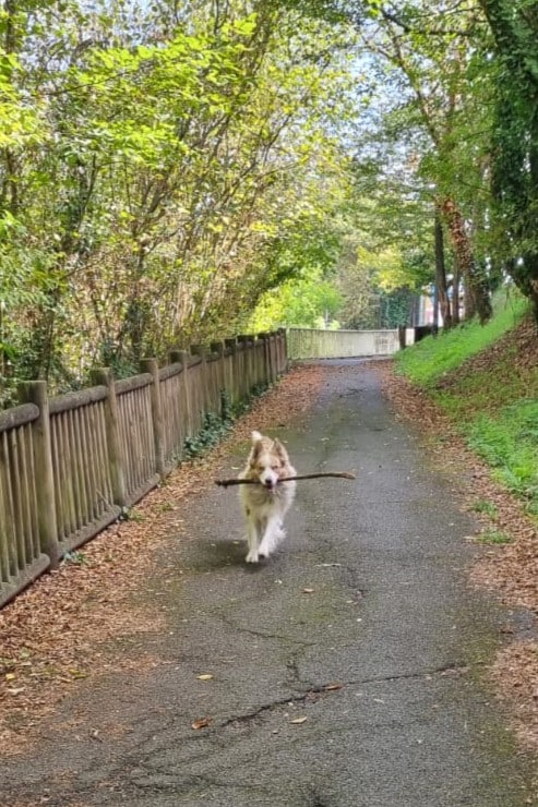 WhatsApp Image 2026-03-25 at 18.48.15