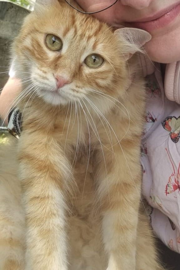 WhatsApp Image 2026-03-25 at 18.48.16