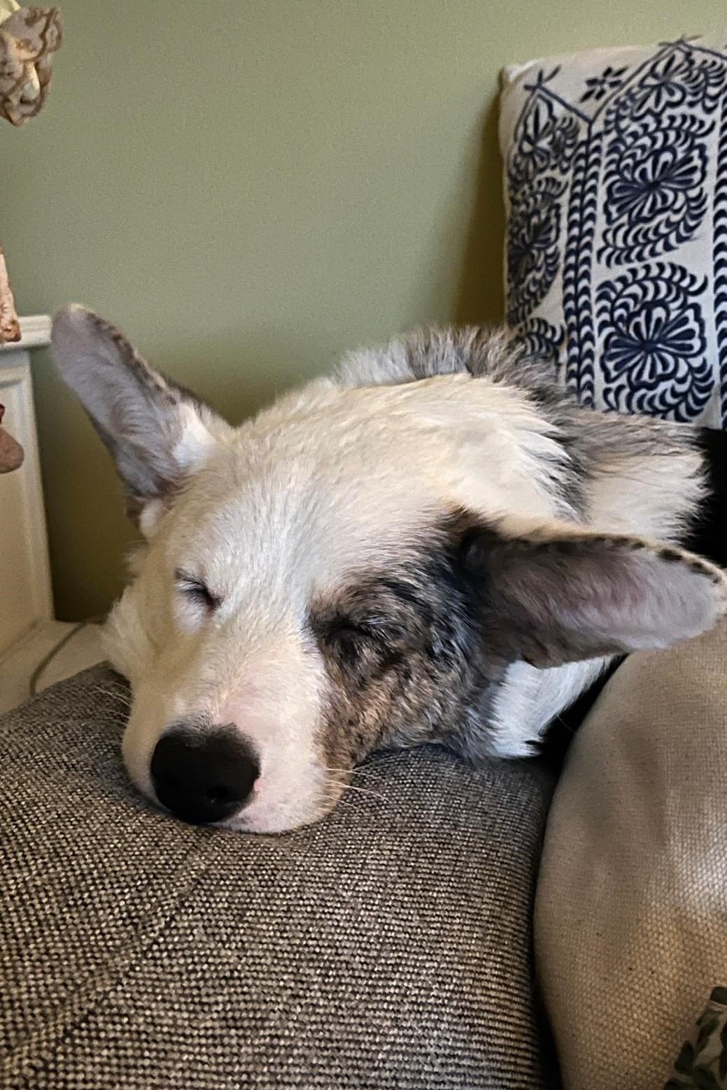 WhatsApp Image 2026-03-25 at 18.56.43