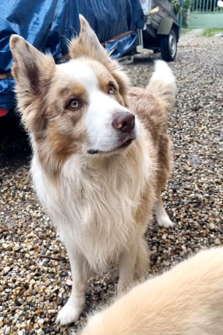 WhatsApp Image 2026-03-25 at 18.58.54