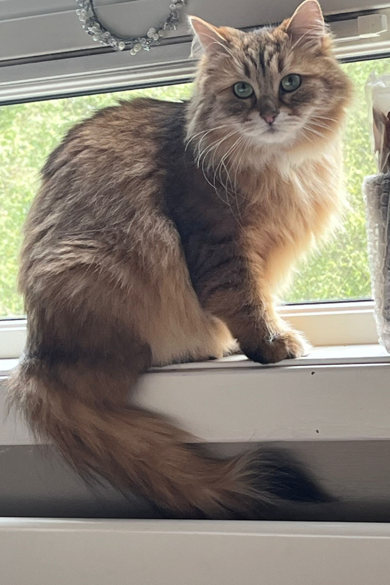 WhatsApp Image 2026-03-25 at 19.03.45