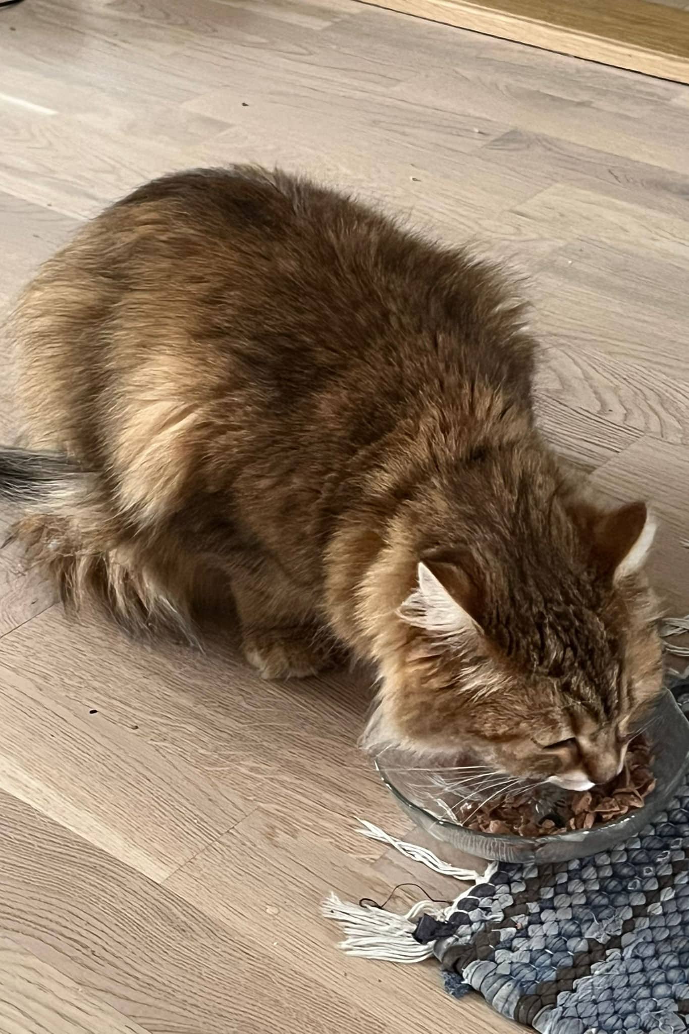 WhatsApp Image 2026-03-25 at 19.07.12