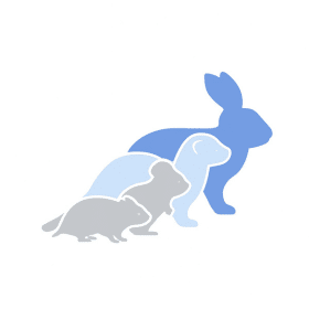 inne mini png