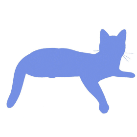 kot mini png