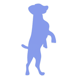 pies mini png